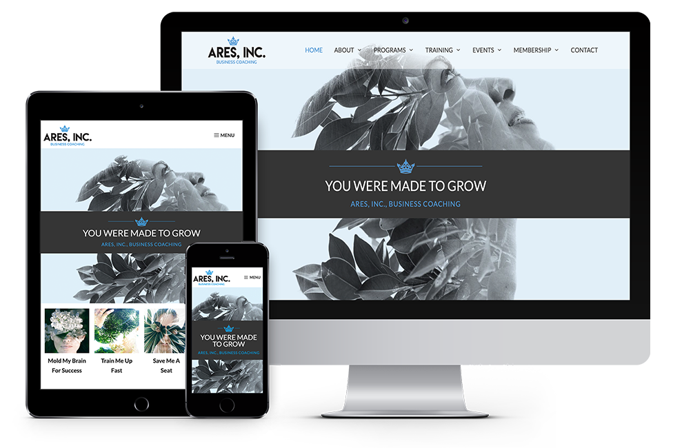 ARES Website Design