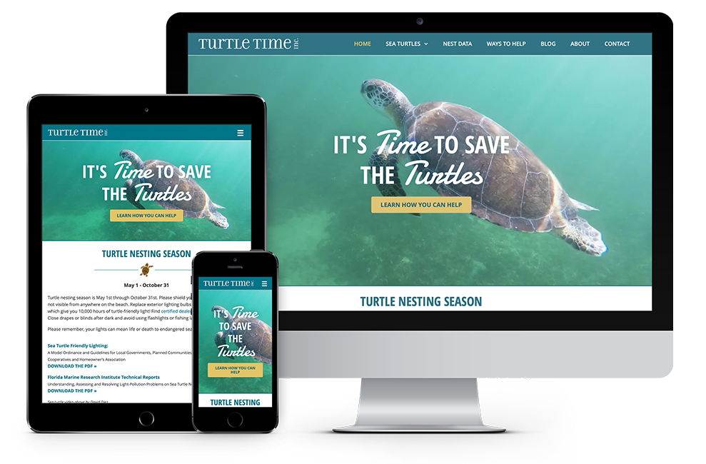 Turtle Time Website Design